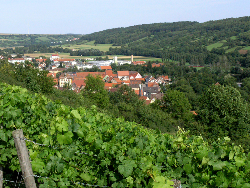  Blick aus den Weinbergen auf Röttingen 